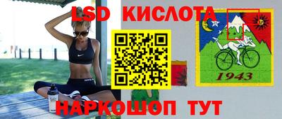 шишки Краснодар