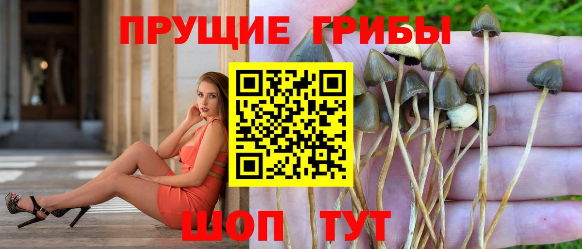 Галлюциногенные грибы ЛСД  Вход с VPN  Славгород 